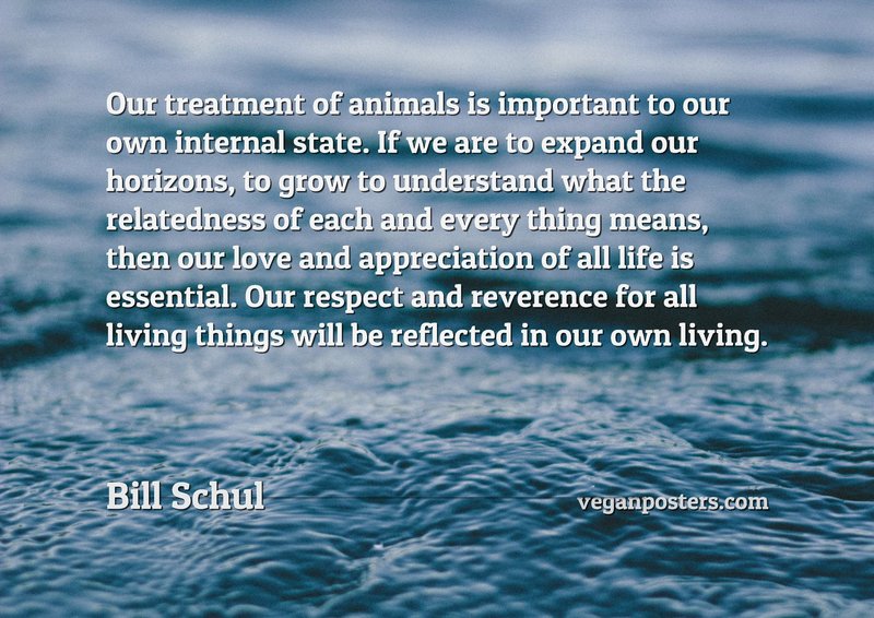 Our treatment of animals is important to our own internal state. If we are to expand our horizons, to grow to understand what the relatedness of each and every thing means, then our love and appreciation of all life is essential. Our respect and reverence for all living things will be reflected in our own living.