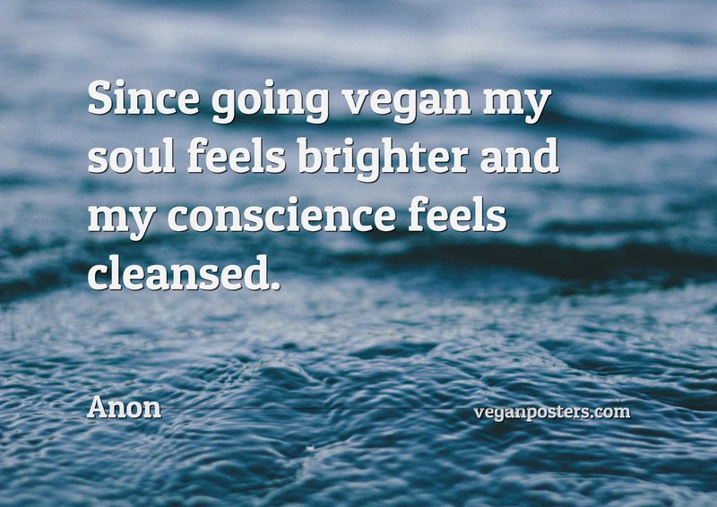 Since going vegan my soul feels brighter and my conscience feels cleansed.