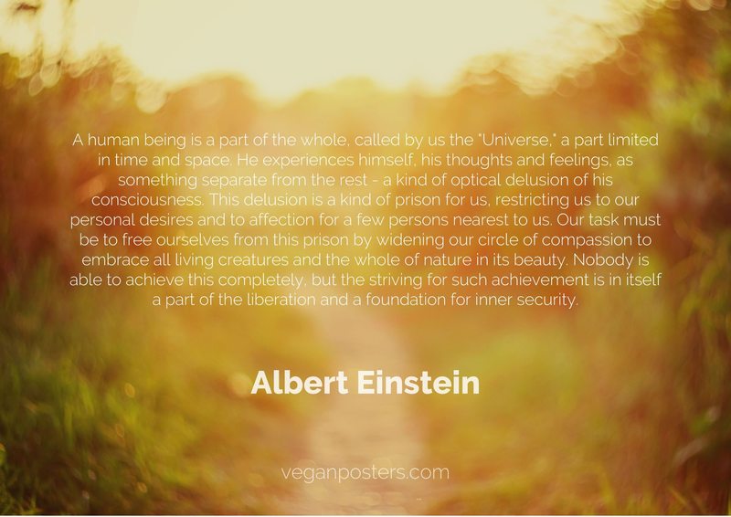 A human being is a part of the whole, called by us the "Universe," a part limited in time and space. He experiences himself, his thoughts and feelings, as something separate from the rest - a kind of optical delusion of his consciousness. This delusion is a kind of prison for us, restricting us to our personal desires and to affection for a few persons nearest to us. Our task must be to free ourselves from this prison by widening our circle of compassion to embrace all living creatures and the whole of nature in its beauty. Nobody is able to achieve this completely, but the striving for such achievement is in itself a part of the liberation and a foundation for inner security.
