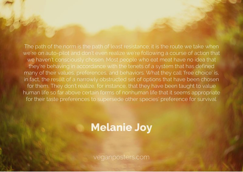 The path of the norm is the path of least resistance; it is the route we take when we're on auto-pilot and don't even realize we're following a course of action that we haven't consciously chosen. Most people who eat meat have no idea that they're behaving in accordance with the tenets of a system that has defined many of their values, preferences, and behaviors. What they call 'free choice' is, in fact, the result of a narrowly obstructed set of options that have been chosen for them. They don't realize, for instance, that they have been taught to value human life so far above certain forms of nonhuman life that it seems appropriate for their taste preferences to supersede other species' preference for survival.