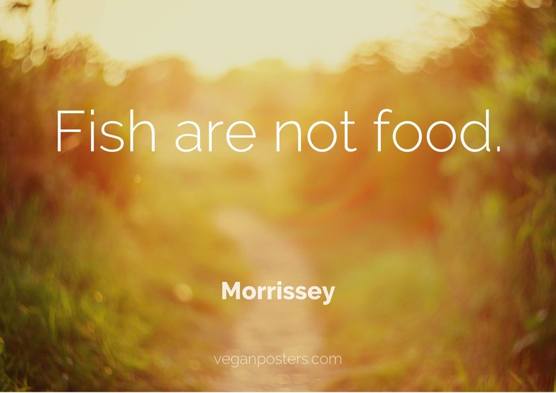 Fish are not food. | Vegan Posters